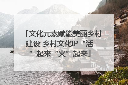 文化元素赋能美丽乡村建设 乡村文化IP“活”起来“火”起来