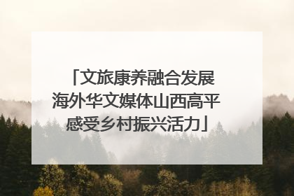 文旅康养融合发展 海外华文媒体山西高平感受乡村振兴活力