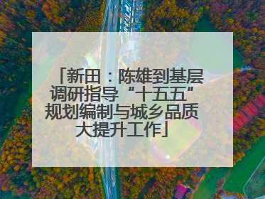 新田：陈雄到基层调研指导“十五五”规划编制与城乡品质大提升工作