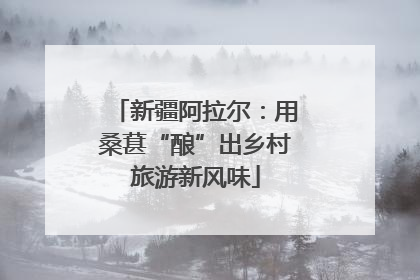 新疆阿拉尔：用桑葚“酿”出乡村旅游新风味
