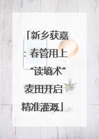 新乡获嘉：春管用上“读墒术” 麦田开启精准灌溉