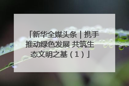 新华全媒头条｜携手推动绿色发展 共筑生态文明之基（1）