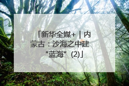 新华全媒+｜内蒙古：沙海之中建“蓝海”(2)