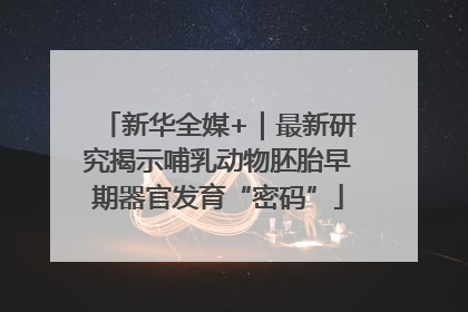新华全媒+｜最新研究揭示哺乳动物胚胎早期器官发育“密码”
