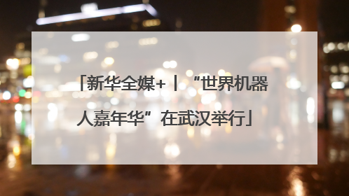 新华全媒+丨“世界机器人嘉年华”在武汉举行