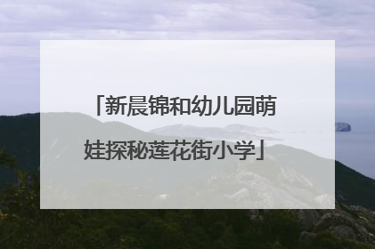 新晨锦和幼儿园萌娃探秘莲花街小学