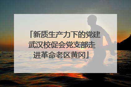 新质生产力下的党建 武汉校促会党支部走进革命老区黄冈