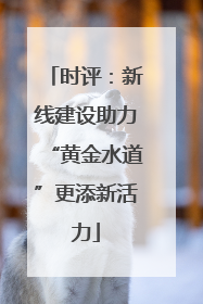 时评：新线建设助力“黄金水道”更添新活力