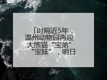 时隔近5年，温州动物园再迎大熊猫“宝弟”“宝妹”，明日正式开馆！