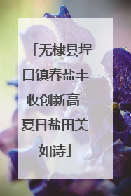 无棣县埕口镇春盐丰收创新高 夏日盐田美如诗