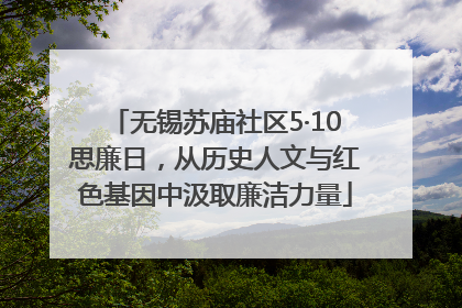 无锡苏庙社区5·10思廉日，从历史人文与红色基因中汲取廉洁力量