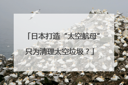 日本打造“太空航母”只为清理太空垃圾？