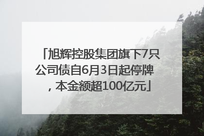 旭辉控股集团旗下7只公司债自6月3日起停牌，本金额超100亿元