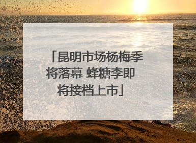 昆明市场杨梅季将落幕 蜂糖李即将接档上市