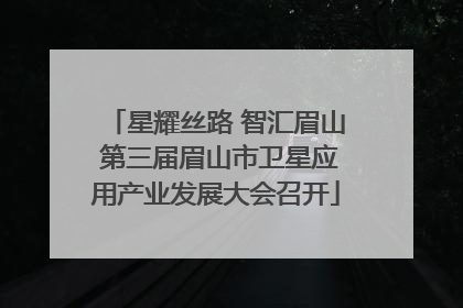 星耀丝路 智汇眉山 第三届眉山市卫星应用产业发展大会召开