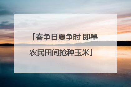 春争日夏争时 即墨农民田间抢种玉米