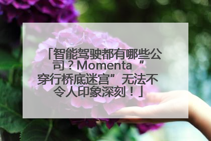 智能驾驶都有哪些公司？Momenta“穿行桥底迷宫”无法不令人印象深刻！