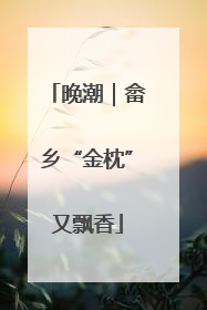 晚潮｜畲乡“金枕”又飘香