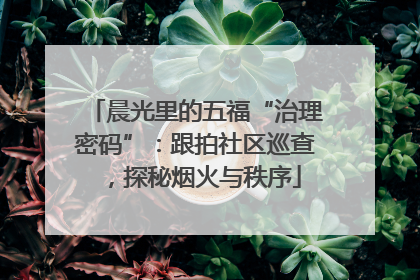 晨光里的五福“治理密码”：跟拍社区巡查，探秘烟火与秩序