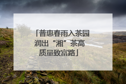 普惠春雨入茶园 润出“湘”茶高质量致富路