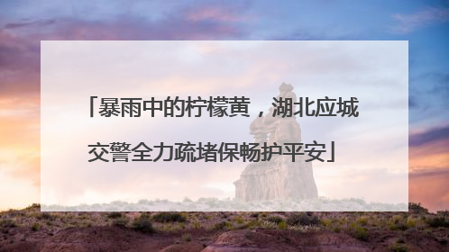 暴雨中的柠檬黄，湖北应城交警全力疏堵保畅护平安