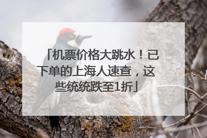 机票价格大跳水！已下单的上海人速查，这些统统跌至1折