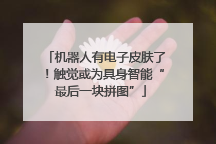 机器人有电子皮肤了！触觉或为具身智能“最后一块拼图”