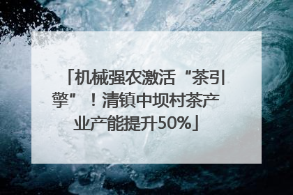 机械强农激活“茶引擎”！清镇中坝村茶产业产能提升50%