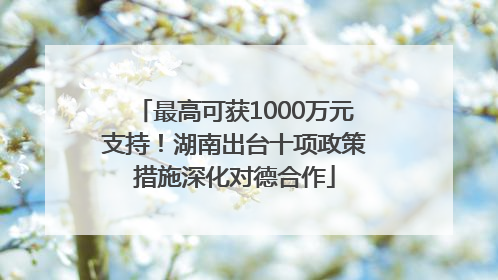 最高可获1000万元支持！湖南出台十项政策措施深化对德合作