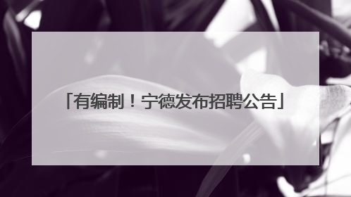 有编制！宁德发布招聘公告