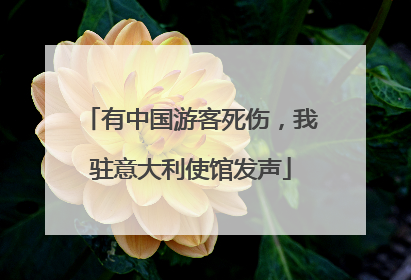 有中国游客死伤，我驻意大利使馆发声
