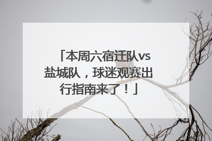 本周六宿迁队vs盐城队，球迷观赛出行指南来了！