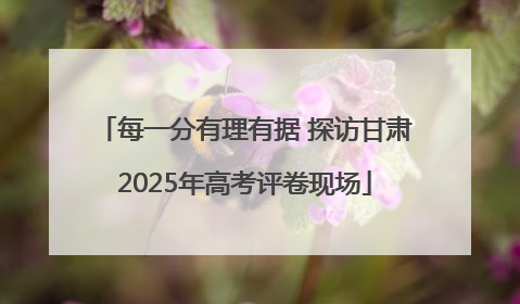 每一分有理有据 探访甘肃2025年高考评卷现场