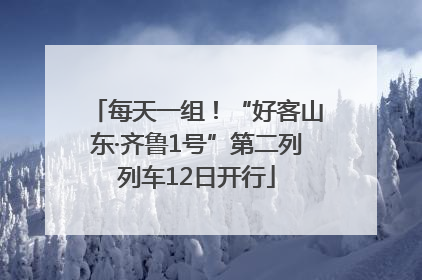 每天一组！“好客山东·齐鲁1号”第二列列车12日开行