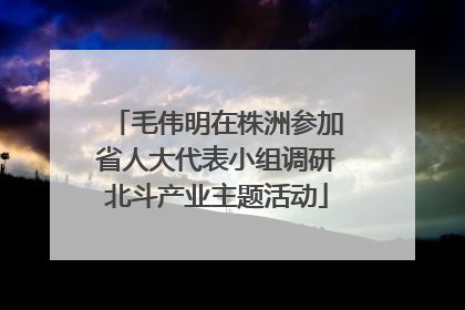毛伟明在株洲参加省人大代表小组调研北斗产业主题活动