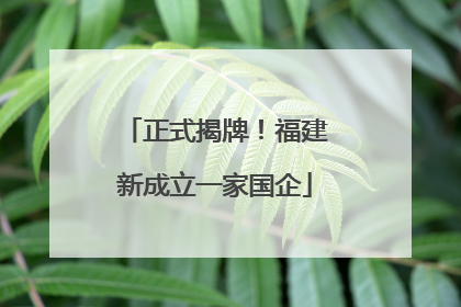 正式揭牌！福建新成立一家国企