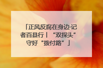 正风反腐在身边·记者百县行丨“双探头”守好“拨付路”