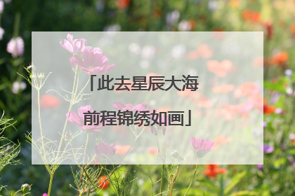 此去星辰大海 前程锦绣如画