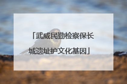武威民勤检察保长城遗址护文化基因