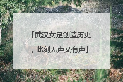武汉女足创造历史，此刻无声又有声