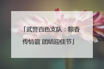 武警百色支队：粽香传情谊 团结迎佳节