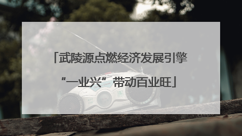 武陵源点燃经济发展引擎 “一业兴”带动百业旺