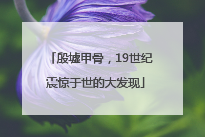 殷墟甲骨，19世纪震惊于世的大发现
