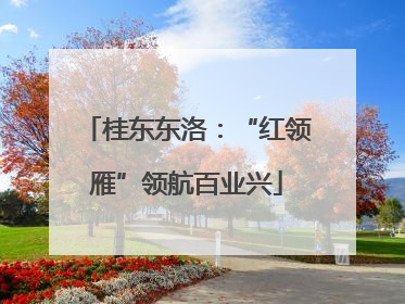 桂东东洛：“红领雁”领航百业兴