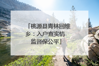 桃源县青林回维乡：入户查实情 监督保公平