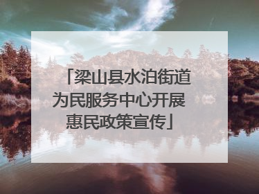 梁山县水泊街道为民服务中心开展惠民政策宣传