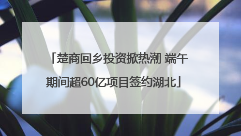 楚商回乡投资掀热潮 端午期间超60亿项目签约湖北