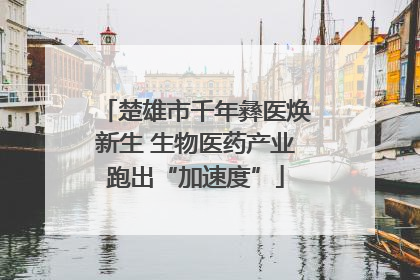 楚雄市千年彝医焕新生 生物医药产业跑出“加速度”
