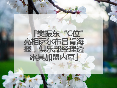 樊振东“C位”亮相萨尔布吕肯海报，俱乐部经理透露其加盟内幕