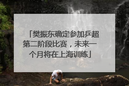 樊振东确定参加乒超第二阶段比赛，未来一个月将在上海训练
